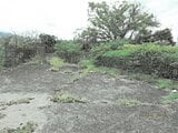 徳島県小松島市の競売物件 122万円 戸建て 73m²