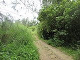 沖縄県名護市の国税庁公売物件 35万円 土地 813m²