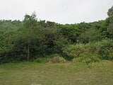 沖縄県名護市の国税庁公売物件 44万円 土地 325m²