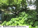 沖縄県宜野湾市の国税庁公売物件 93万円 土地 46m²