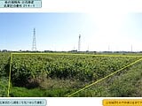 宮城県多賀城市の国税庁公売物件 285万円 農地 2,007m²
