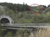 山梨県南巨摩郡身延町の競売物件 47万円 土地 19,610m²