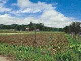 山梨県南都留郡山中湖村の競売物件 9万円 農地 648m²