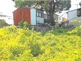 京都府京都市右京区の競売物件 401万円 土地 367m²