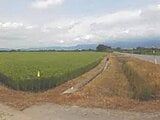 北海道北斗市の競売物件 100万円 農地 10,162m²