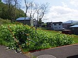 北海道小樽市の国有財産物件 221万円 土地 1,085m²