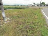 新潟県新潟市南区の競売物件 82万円 農地 159m²