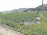 福井県越前市の競売物件 6万円 農地 270m²