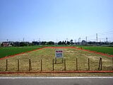 愛知県北名古屋市の国有財産物件 372万円 農地 1,034m²