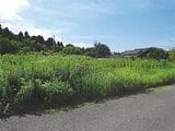 千葉県大網白里市の競売物件 507万円 土地 479m²