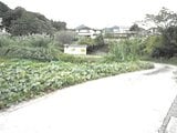大分県速見郡日出町の競売物件 120万円 土地 676m²