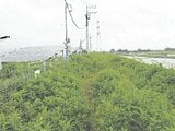 茨城県稲敷市の競売物件 403万円 土地 9,903m²