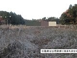 千葉県大網白里市の国税庁公売物件 33万円 農地 2,532m²