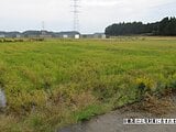 千葉県山武郡横芝光町の国税庁公売物件 39万円 農地 2,042m²