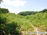 北海道北広島市の国税庁公売物件 480万円 土地 64,695m²