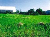 千葉県長生郡白子町の競売物件 429万円 土地 965m&sup2;