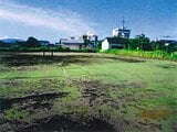 千葉県長生郡白子町の競売物件 1,091万円 戸建て 20m&sup2;