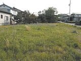 新潟県上越市の競売物件 307万円 土地 636m&sup2;