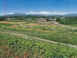 山梨県甲斐市の競売物件 12万円 農地 975m&sup2;