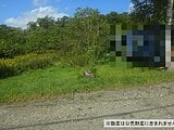 北海道夕張郡長沼町の国税庁公売物件 600万円 土地 61,506m&sup2;