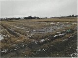 新潟県新潟市北区の競売物件 14万円 農地 1,021m&sup2;