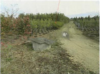 三重県鈴鹿市の競売物件 52万円 農地 1,121m&sup2;