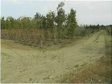 三重県鈴鹿市の競売物件 103万円 農地 2,143m&sup2;