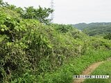 神奈川県中郡大磯町の国税庁公売物件 21万円 土地 520m&sup2;