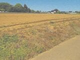 茨城県鉾田市の競売物件 180万円 農地 9,422m&sup2;