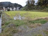 新潟県長岡市の国税庁公売物件 122万円 農地 3,127m&sup2;