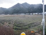 兵庫県姫路市の国税庁公売物件 127万円 農地 3,291m&sup2;