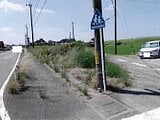 愛知県豊橋市の競売物件 67万円 農地 454m&sup2;