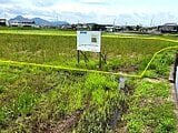 香川県丸亀市の国有財産売却物件 162万円 農地 957m&sup2;