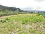 山梨県富士吉田市の競売物件 44万円 農地 472m&sup2;