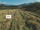 山梨県笛吹市の競売物件 59万円 農地 1,690m&sup2;