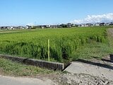 三重県松阪市の国税庁公売物件 25万円 農地 1,596m&sup2;