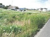 香川県丸亀市の競売物件 18万円 農地 246m&sup2;