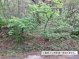 長野県北佐久郡軽井沢町の国税庁公売物件 190万円 土地 1,151m&sup2;