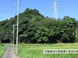 千葉県香取市の国税庁公売物件 240万円 土地 3,450m&sup2;