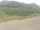 福井県越前市の競売物件 188万円 農地 2,988m&sup2;