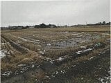 新潟県新潟市北区の競売物件 14万円 農地 1,021m&sup2;