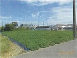 静岡県浜松市中央区の競売物件 434万円 農地 1,394m&sup2;
