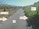 山梨県南アルプス市の競売物件 22万円 農地 360m&sup2;
