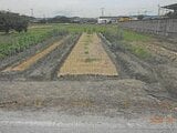 奈良県御所市の競売物件 153万円 農地 1,695m&sup2;