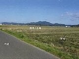 島根県松江市の競売物件 97万円 農地 6,492m&sup2;