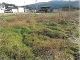 徳島県吉野川市の競売物件 25万円 農地 836m&sup2;