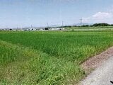 愛知県豊橋市の競売物件 97万円 農地 991m&sup2;