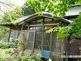 秋田県鹿角郡小坂町の国税庁公売物件 90万円 戸建て 162m&sup2;