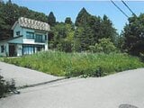 新潟県上越市の競売物件 118万円 土地 264m&sup2;