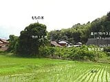 島根県安来市の競売物件 82万円 土地 1,208m&sup2;